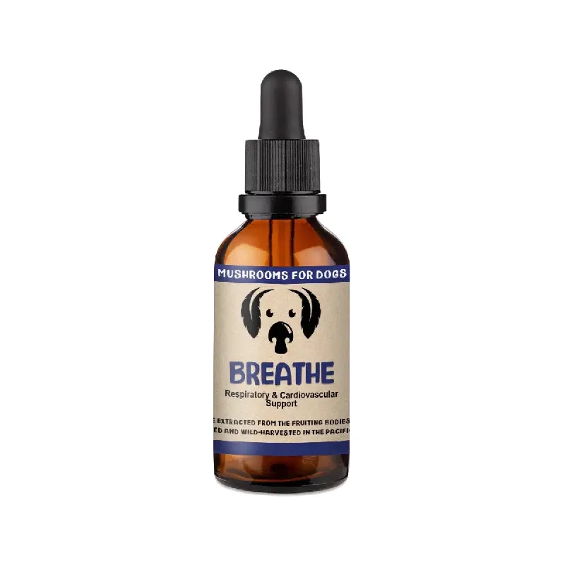 with the functions of decontamination, deodorization, and nourishment.MycoDog Breathe Mushroom Extract & Adaptogen Tincture 2oz with the functions of decontamination, deodorization, and nourishment.MycoDog Breathe Mushroom Extract & Adaptogen Tincture 2oz
